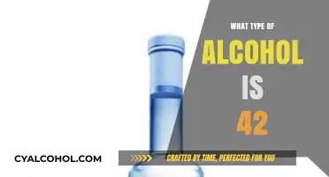 Exploring the Mystery: What Type of Alcohol is 42?