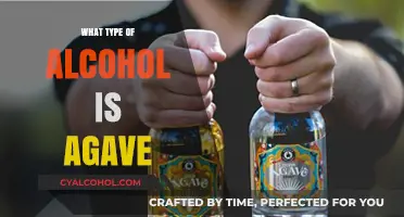 Exploring Agave: The Unique Spirit Behind Tequila and Mezcal