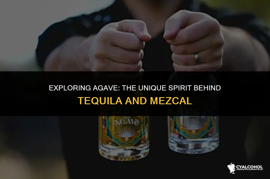 what type of alcohol is agave