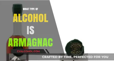 Exploring the Rich Flavors: What Type of Alcohol is Armagnac?