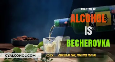 Exploring Becherovka: The Unique Czech Herbal Liqueur