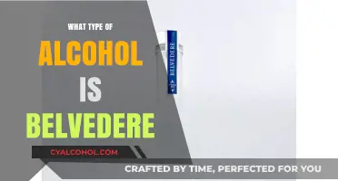 Exploring Belvedere: A Comprehensive Guide to This Premium Vodka