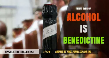 Exploring the Herbal Depths: What Type of Alcohol is Benedictine?