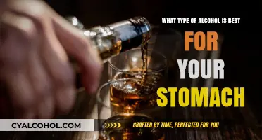 Alcohol and Stomach: Friend or Foe?