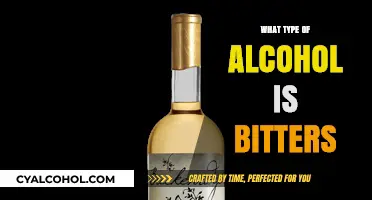 Exploring the World of Bitters: A Guide to This Complex Spirit