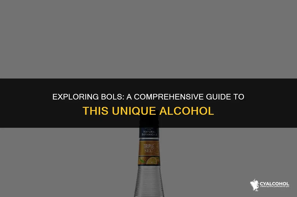 what type of alcohol is bols