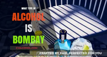 Exploring Bombay: A Guide to India's Iconic Alcohol