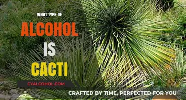 Exploring Cacti Alcohol: Unique Flavors and Distillation Process Revealed