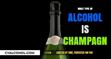 Champagne Unveiled: Understanding the Sparkling Wine Classification and Origins