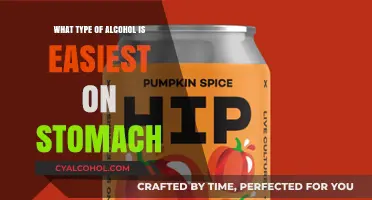 Gentle Sips: Discovering Stomach-Friendly Alcohol Options for Comfort