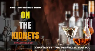 Best Alcoholic Drinks for Kidney Health