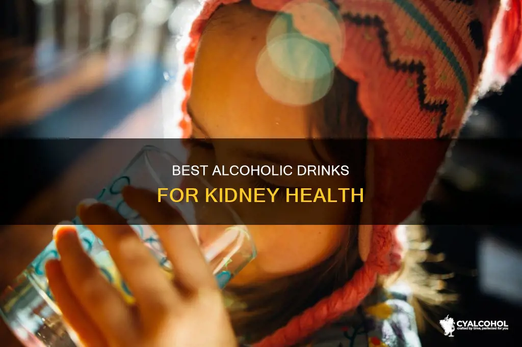 what type of alcohol is easiest on the kidneys