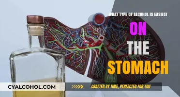 Best Alcoholic Drinks for Sensitive Stomachs