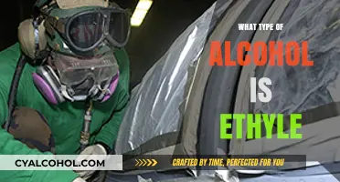 Understanding Ethyl Alcohol: Types, Uses, and Key Characteristics Explained