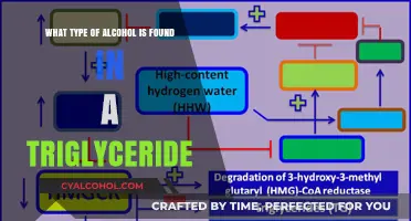 Triglycerides and Alcohol: What's the Connection?