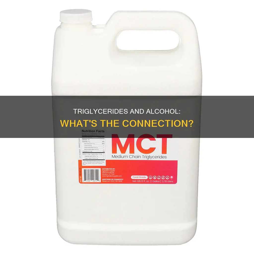what type of alcohol is found in a triglyceride