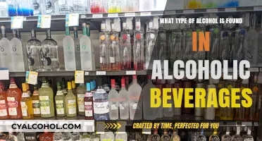 Alcoholic Beverage Basics: Types of Alcohol Explained
