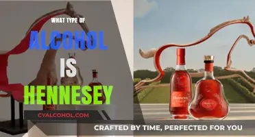 Hennessy Explained: Understanding the Cognac Behind the Iconic Brand