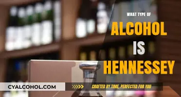 Hennessy Explained: Understanding the Cognac Behind the Iconic Brand