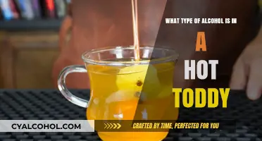 Hot Toddy Alcohol Options: Whiskey, Brandy, or Rum?