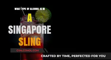 The Spirits Behind the Singapore Sling