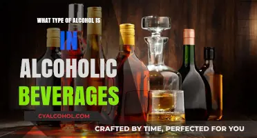Understanding Alcohol Types: What’s Really in Your Favorite Beverages?