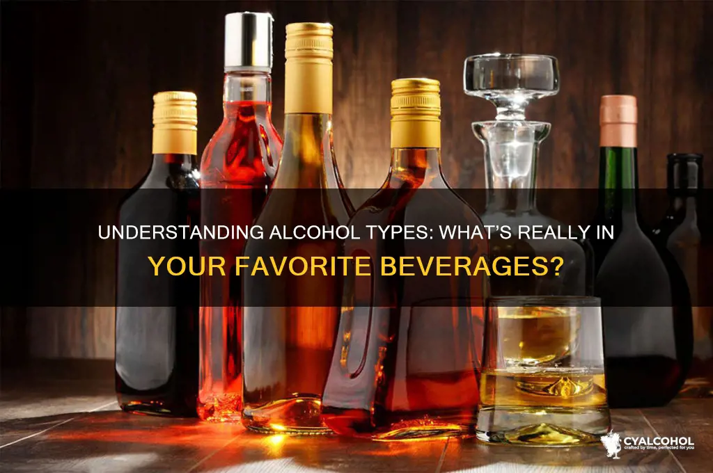 what type of alcohol is in alcoholic beverages