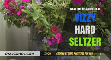 Vizzy Hard Seltzer: Alcohol Content and More