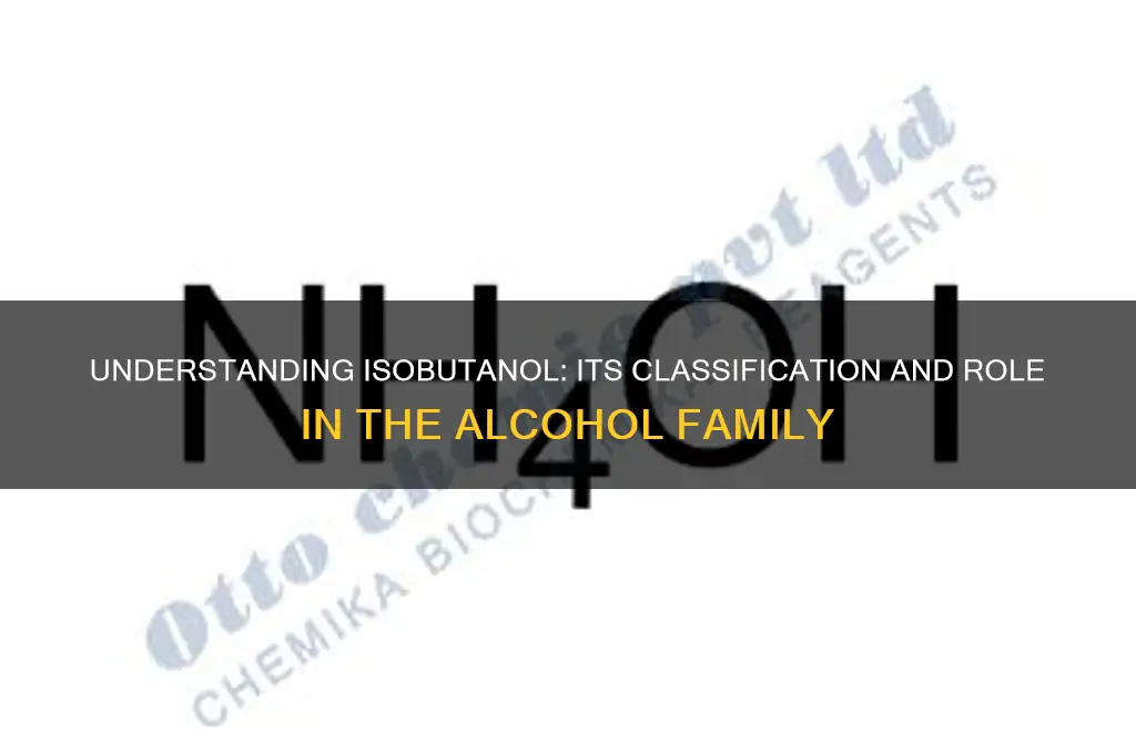 what type of alcohol is isobutanol
