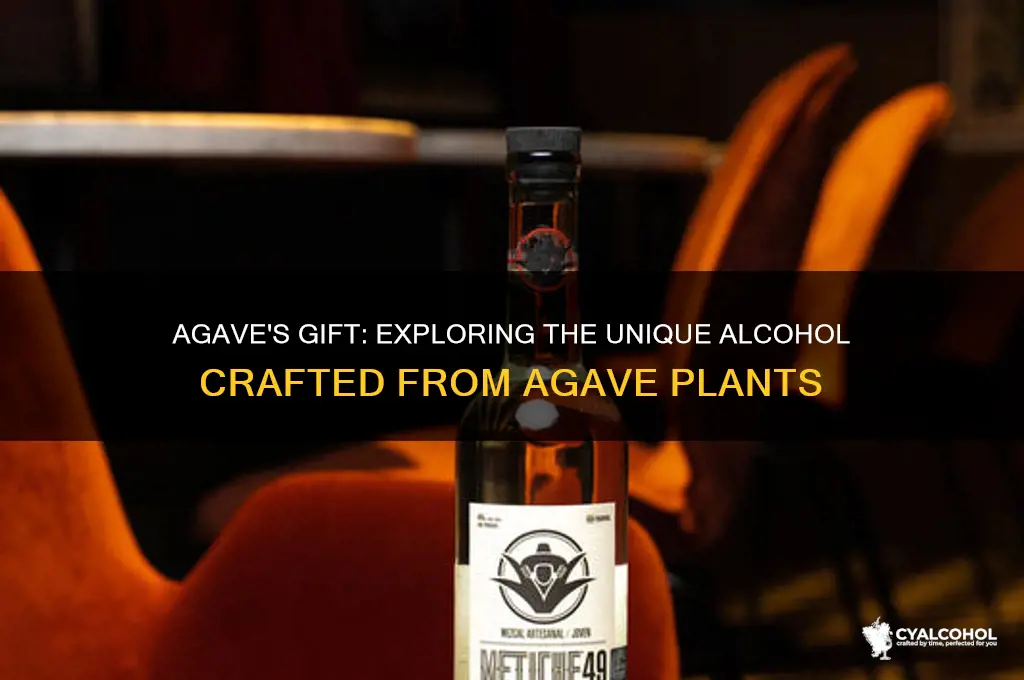 what type of alcohol is made with agavua