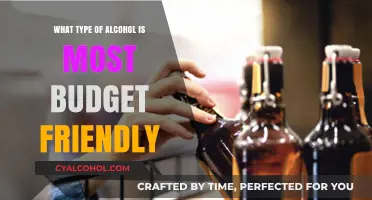 Cheap Drinks: Discover the Most Budget-Friendly Alcohol Options