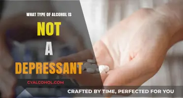 Exploring Alcohol Types: Which Ones Don't Act as Depressants?
