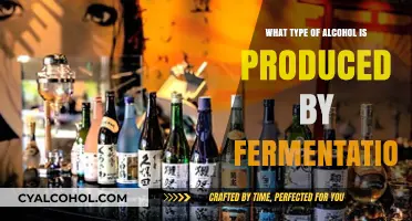 Fermentation's Magic: Unveiling the Alcohol Types Crafted by Microbes
