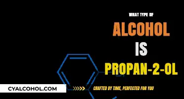 Understanding Propan-2-ol: Its Alcohol Type and Key Characteristics Explained