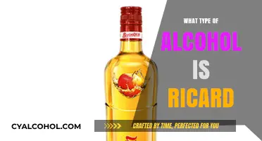 Ricard: Unveiling the Unique Anise-Flavored Spirit from France