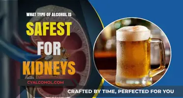 Kidney-Friendly Alcohol Choices: Safest Options for Renal Health