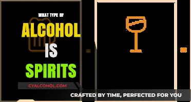 Understanding Spirits: Exploring the Diverse World of Distilled Alcoholic Beverages
