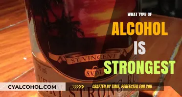 Exploring the World's Strongest Alcoholic Beverages: A Potent Guide