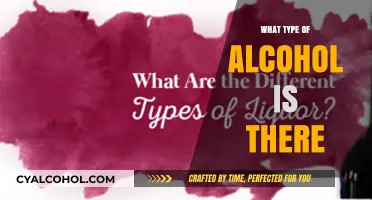 Exploring the Diverse World of Alcohol Types and Varieties