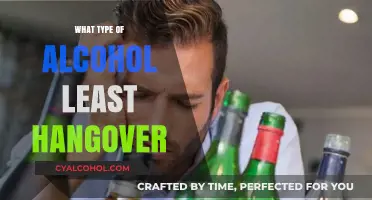 Discover the Best Alcohol Choices to Minimize Hangover Symptoms