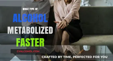 How Your Body Processes Alcohol: Which Types Metabolize Fastest?