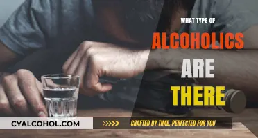 Understanding Alcoholism: Exploring the Different Types of Alcoholics