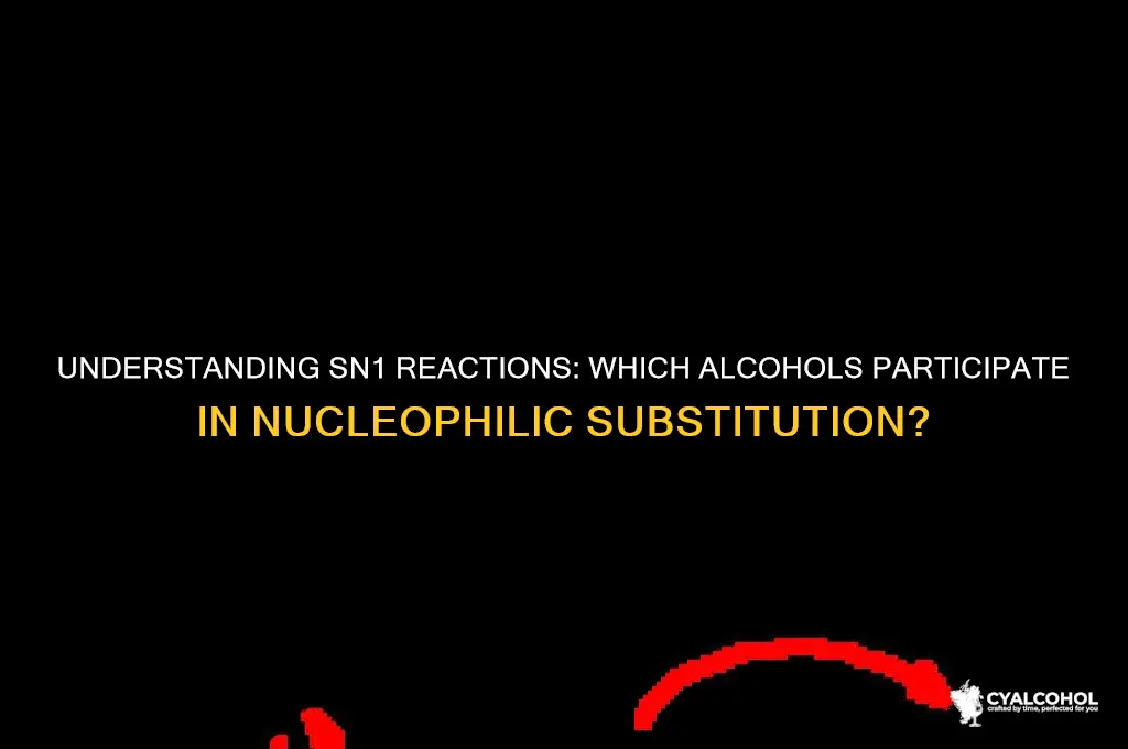 what type of alcohols undergo sn1