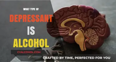 Understanding Alcohol: A Powerful Central Nervous System Depressant Explained