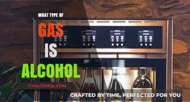 Understanding Alcohol's Chemical Nature: Is It a Gas or Liquid?