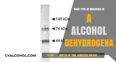 Understanding Alcohol Dehydrogenase: Structure, Function, and Molecular Classification
