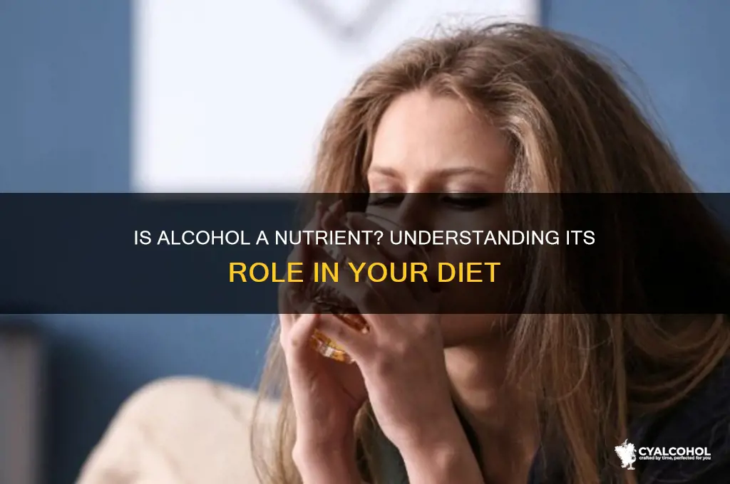 what type of nutrient is alcohol