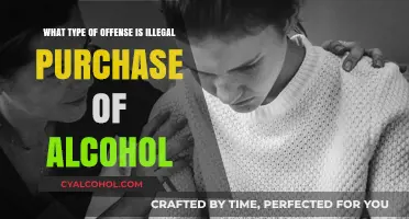 Alcohol Purchase Offenses: Understanding the Law