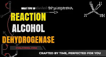 Understanding Alcohol Dehydrogenase: Key Reactions in Alcohol Metabolism Explained