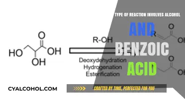 Esters: Alcohol, Benzoic Acid, and the Chemistry Behind Them